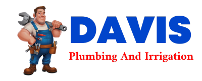 Trusted plumber in DUSHORE